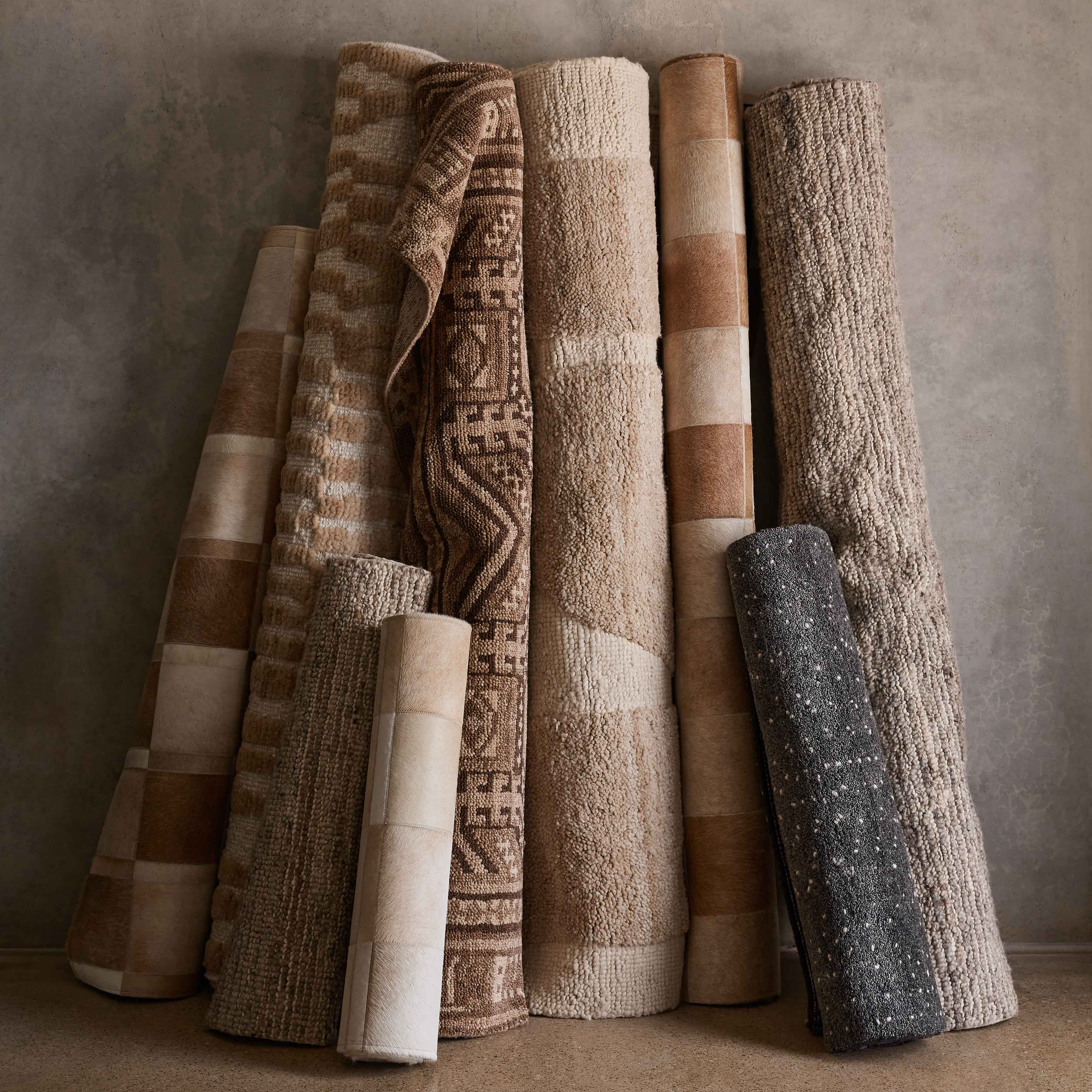 Atashi Hand-Knotted Accent Rug