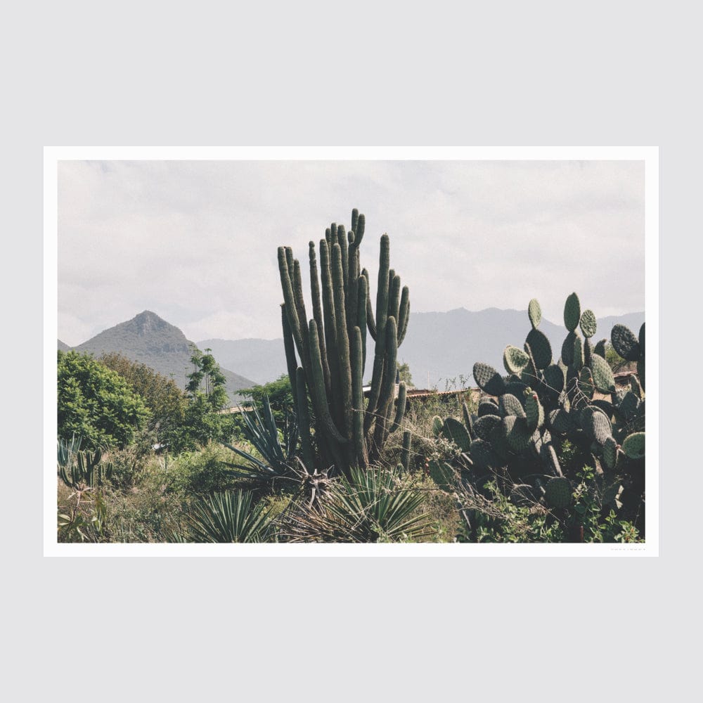 Oaxaca .01