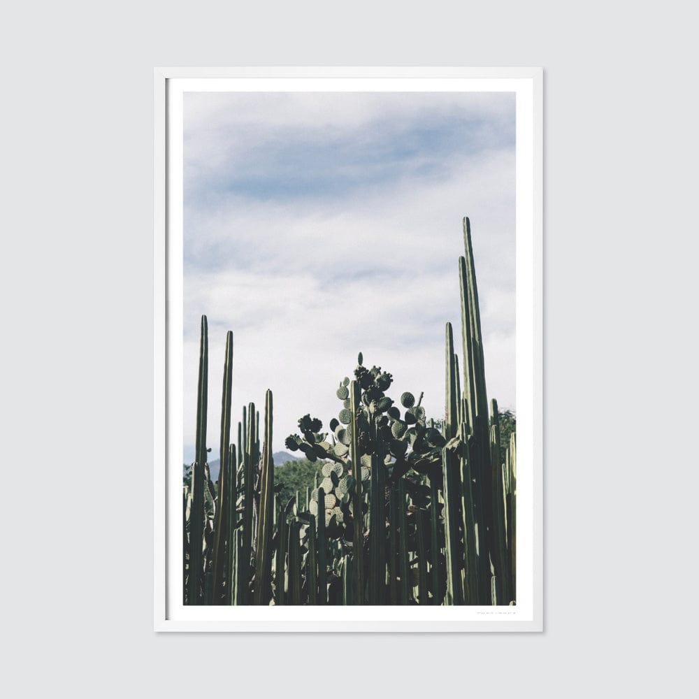 Oaxaca .03