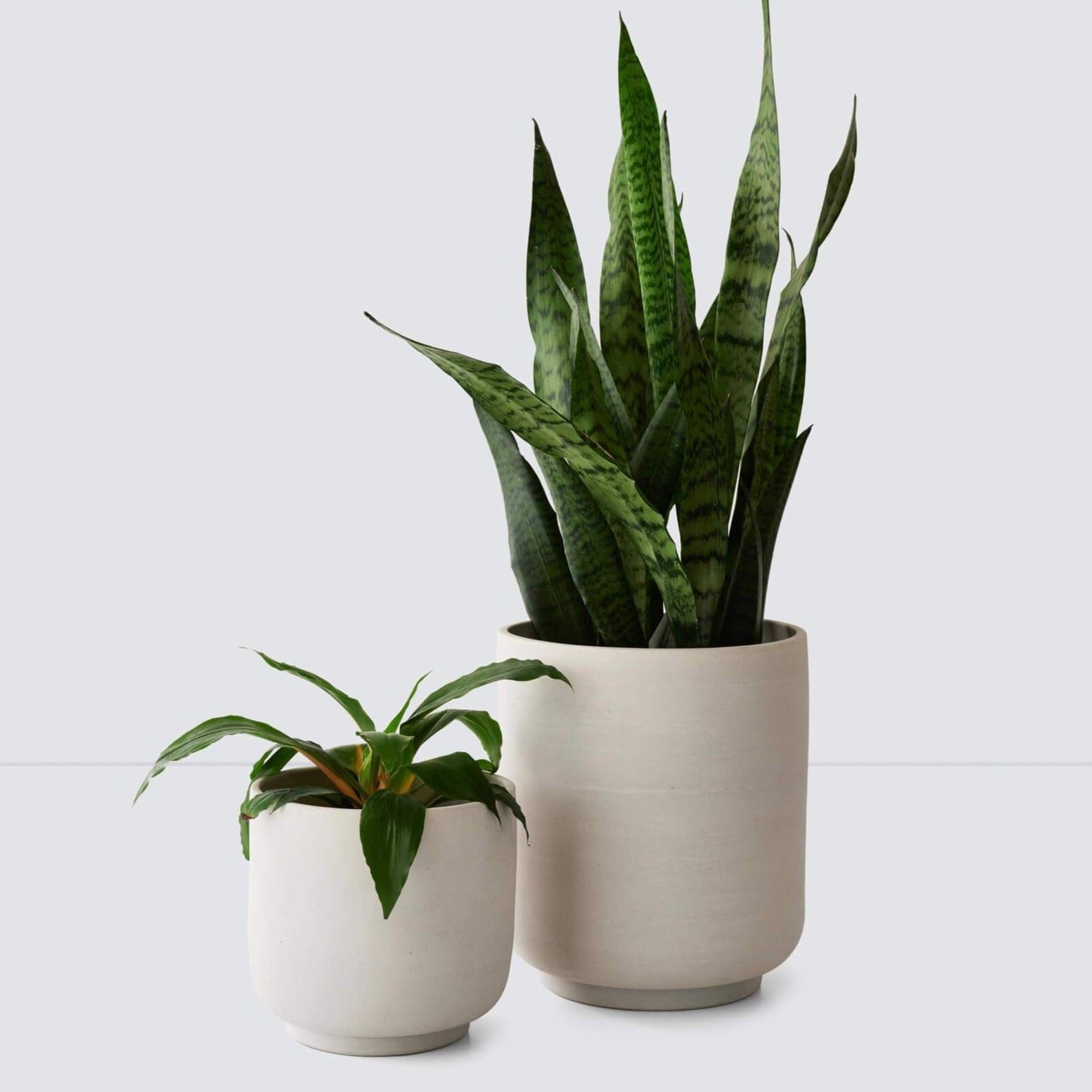 Paseo Planter